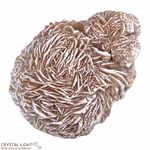 Desert Rose (Single)
