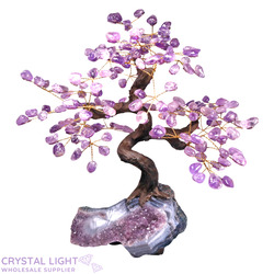 Large/Extra Large Trees: Amethyst Druse Tree (Single)
