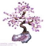 Amethyst Druse Tree (Single)