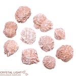 Desert Rose Lot