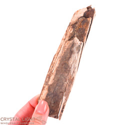 Teeth: Mammoth Tusk Specimen