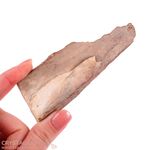 Mammoth Tusk Specimen