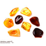 Amber Tumble Lot (Spider Inclusion)