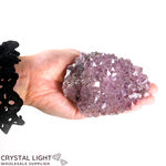 Amethyst Druse (Flower)