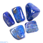 Lapis Lazuli Large Tumble Lot