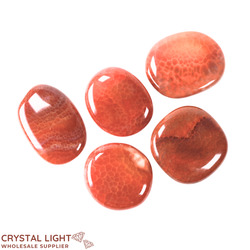 Flatstone Individuals and Lots: Fire Agate Flatstone Lot