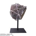 Black Amethyst on Stand