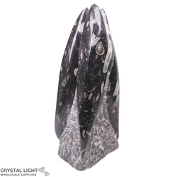 Orthoceras: Orthoceras Tower Small