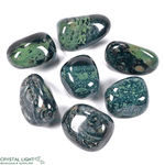 Kambaba Jasper Tumble Lot