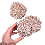 Desert Rose Large Lot
