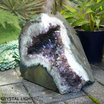 Garden Amethyst Druse (AUCTION)