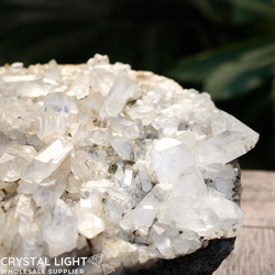 Auctions: Garden Quartz Cluster (AUCTION)