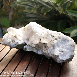 Auctions: Garden Quartz Cluster (AUCTION)