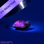 Alexandrite Specimen (RARE)