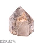 Lodolite Point with Rutile