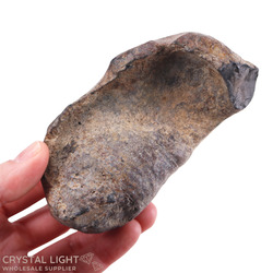 Whale Fossils: Whale Earbone Fossil