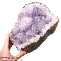 Auctions: Amethyst Druse with Flower (AUCTION)
