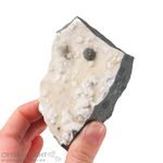 Gyrolite Specimen