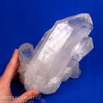 Clear Quartz Cluster (Self Healed)
