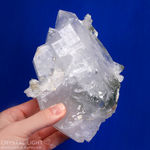 Himalayan Quartz Tabular Cluster