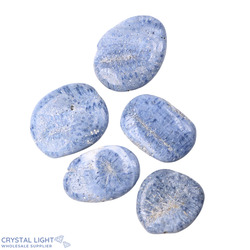 Flatstone Individuals and Lots: Blue Coral Flatstone Lot