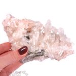 Sacred Rose Lithium Quartz