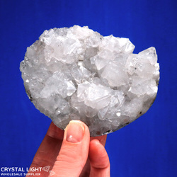 Individual Clusters: Apophyllite Cluster