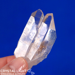 Individual Natural Points: Lemurian Twin Point