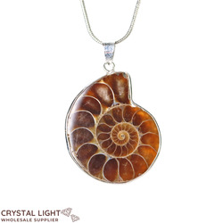 Fossil Pendants: Ammonite Fossil Pendant