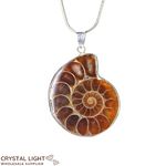 Ammonite Fossil Pendant