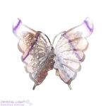 Rainbow Fluorite Butterfly