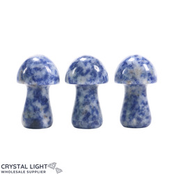 Mushrooms: Sodalite Mushroom