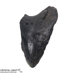 Teeth: Megalodon Tooth