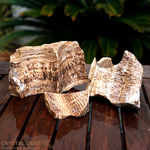 Photographed Wet to show Banding