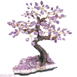 Large/Extra Large Trees: Amethyst Druse Tree (Single)
