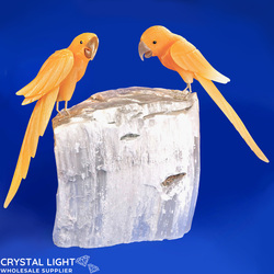Display Pieces on Stand: Calcite Parrots on Selenite Log