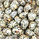 Dalmatian Jasper Tumble