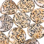 Dalmatian Jasper Flatstone