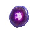 Purple Agate Slice Small