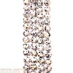 Dalmatian Jasper Beads 8mm