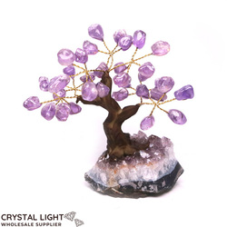 Small/Extra Small Trees: Amethyst Druse Tree XS