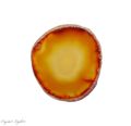 Natural Agate Slice Small