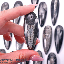 Fossil Pendants: Orthoceras Fossil Blade Pendant
