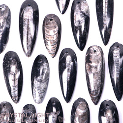 Fossil Pendants: Orthoceras Fossil Blade Pendant