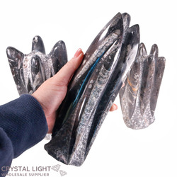 Orthoceras: Orthoceras Fossil Tower Small