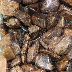 Tumbles by Weight: Bronzite Brazil Tumble