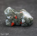 African Bloodstone Frog - Small