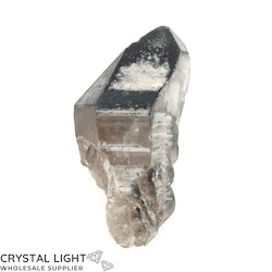 Natural Points: Smokey Quartz DT Point with Chlorite