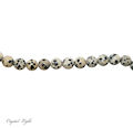 Dalmatian Jasper 10mm Beads