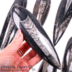 Orthoceras: Orthoceras Fossil Blade